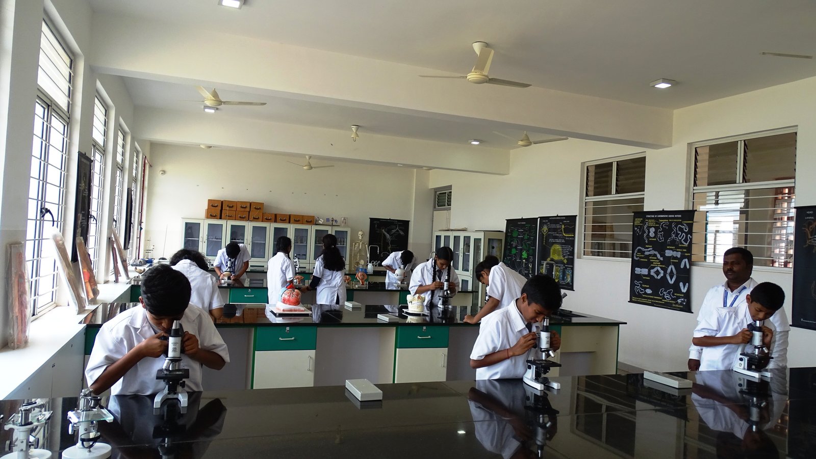 bkg-school_17