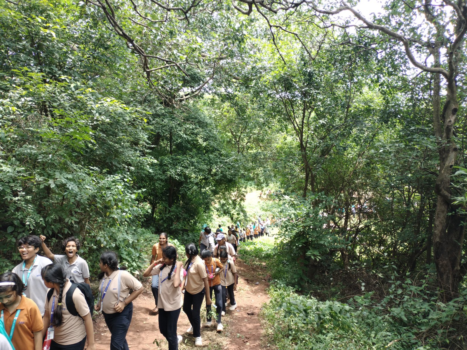 bkg-school_6