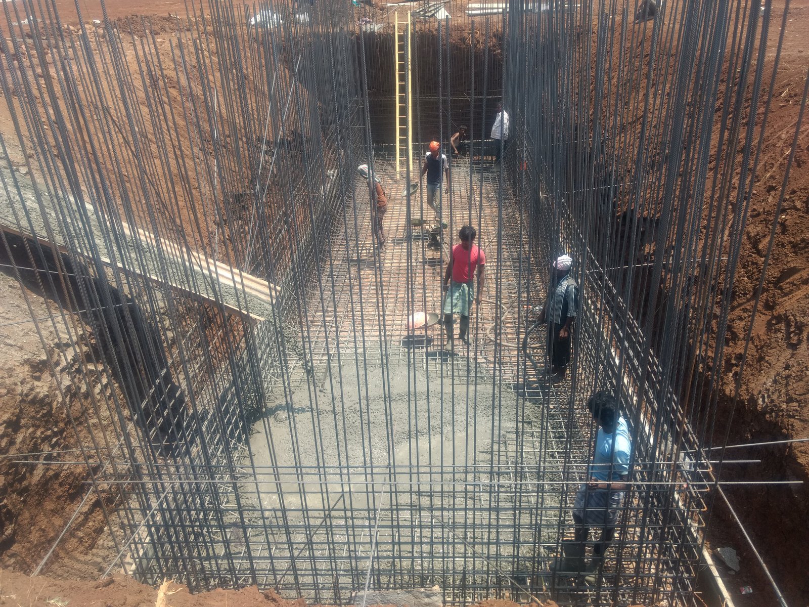 c_img7