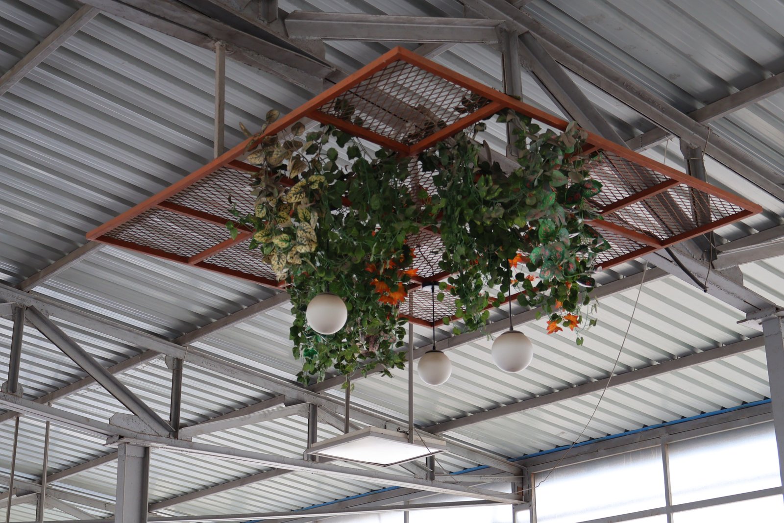 Commercial view 13
